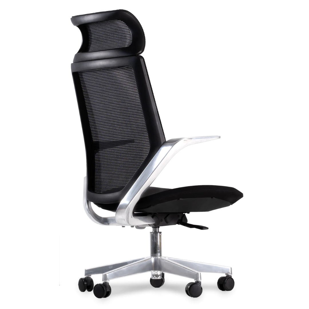 5Sides caladium high back premium executive office chair