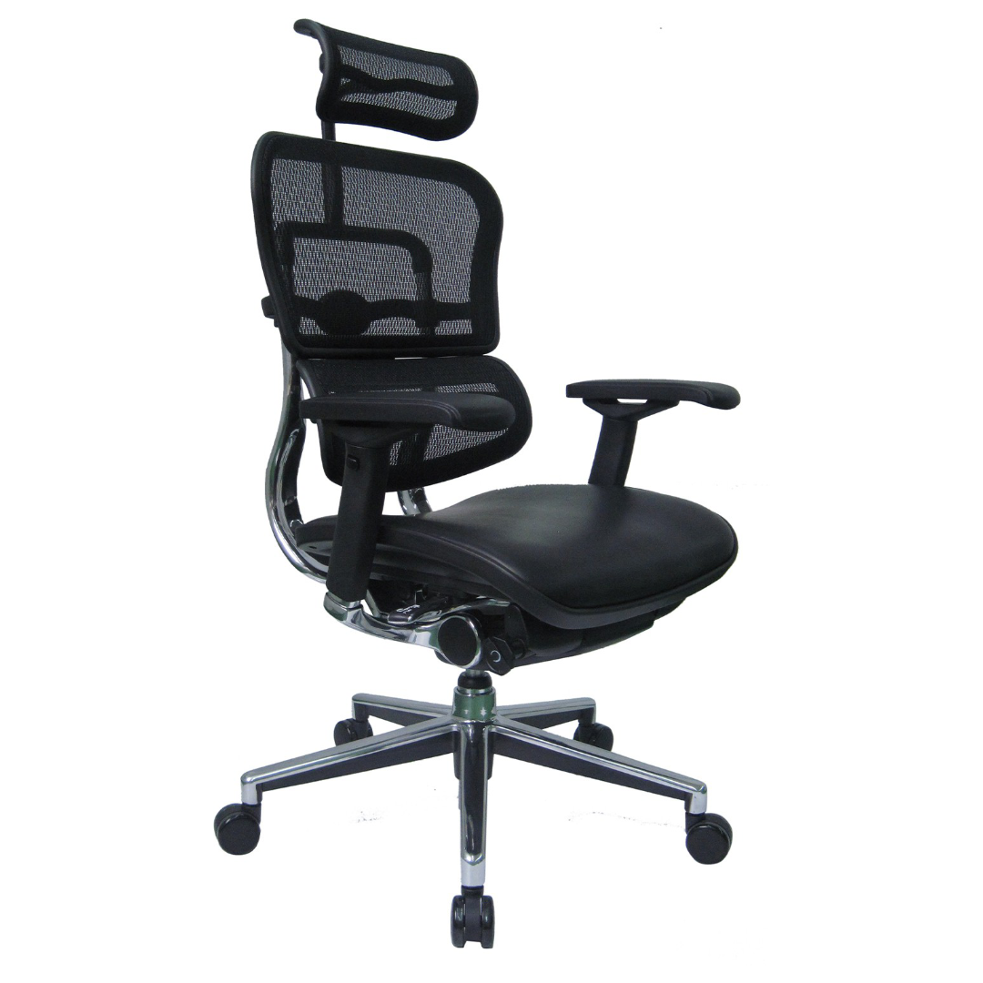 5Sides ergohuman high back premium executive office chair