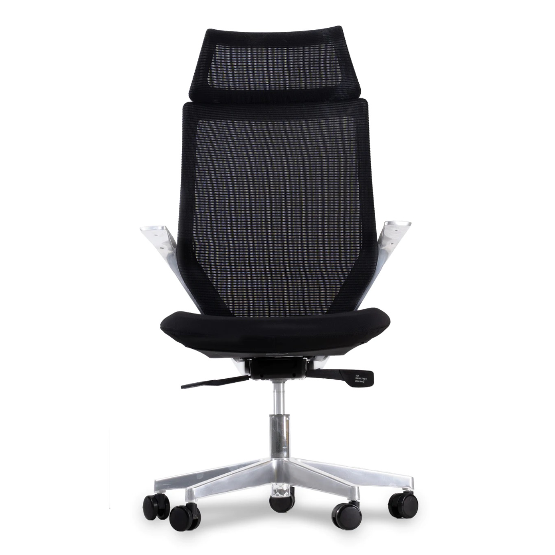 5Sides caladium high back premium executive office chair