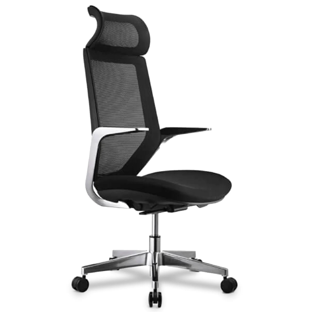 5Sides caladium high back premium executive office chair